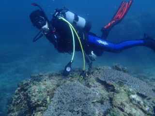 久しぶりの水中