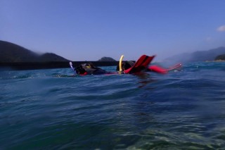 頑張って泳いでる～