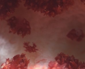 この子は誰でしょう