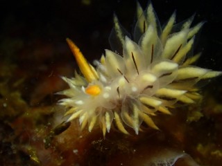 名前なんて言うんですか？？