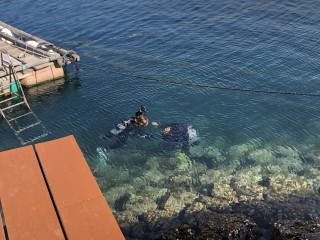 歩いてポン講習