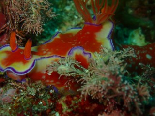 AOW講習かすみさん作