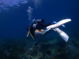 初ボートダイビング！