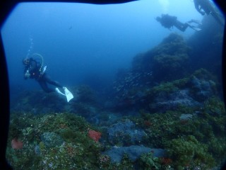 海坊主のガイドで