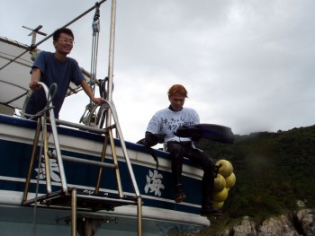 音無瀬／サザエ