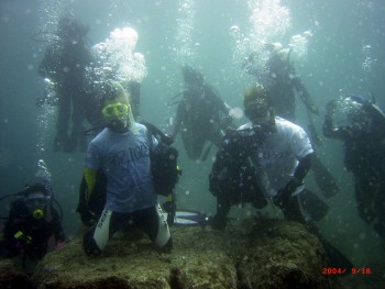 音無瀬／サザエ