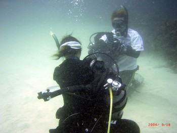 音無瀬／サザエ