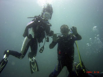 音無瀬／サザエ