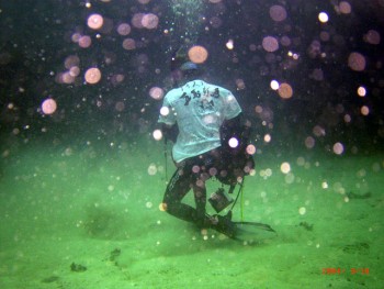 音無瀬／サザエ