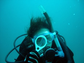 音無瀬／サザエ