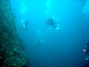 ドンタク／キビナゴ瀬／道土井