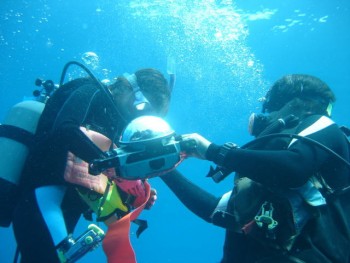 ドンタク／キビナゴ瀬／道土井