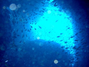 壷ヶ瀬／キビナゴ瀬