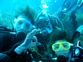 壷ヶ瀬／キビナゴ瀬