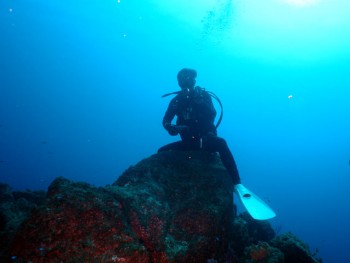 壷ヶ瀬／キビナゴ瀬