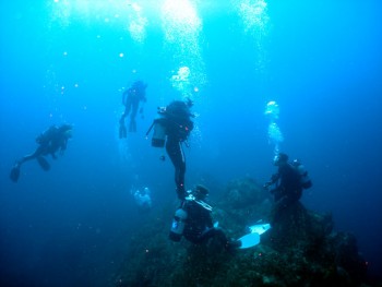 壷ヶ瀬／キビナゴ瀬