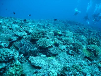 与那国　アンカー