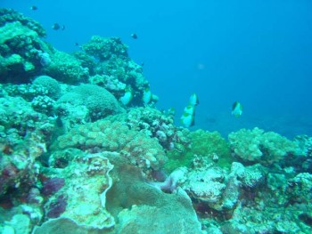 与那国　アンカー