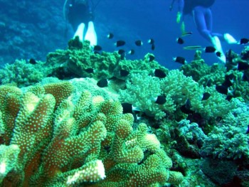 与那国　アンカー