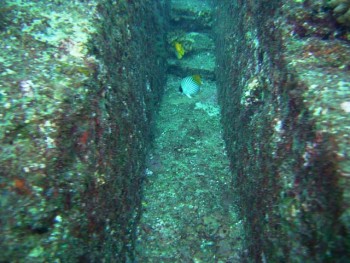 与那国　アンカー