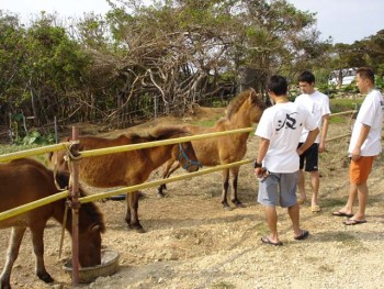 与那国　観光　飲み歩き