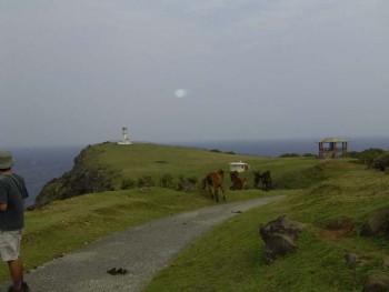 与那国　観光　飲み歩き