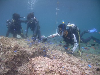 ログ日記 五島ダイビングセンター ナイスばでぃー